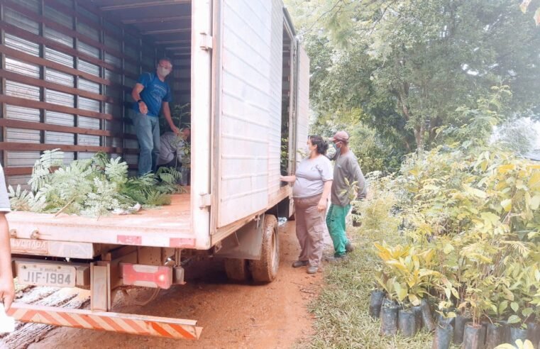 Governo do DF amplia apoio a produtores rurais de baixa renda com transporte gratuito de insumos agropecuários