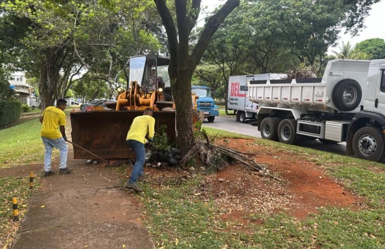 Plano Piloto passa por ações de limpeza e manutenção