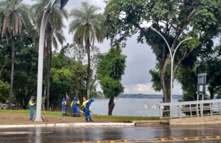 Região central de Brasília ganha ações de manutenção em áreas públicas