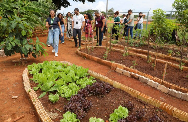 Visitas técnicas reconhecem boas práticas de segurança alimentar no DF