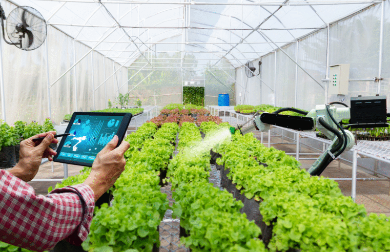 AgroHack Ideias 2025: segunda edição da maratona que conecta inovação e agronegócio abre inscrições