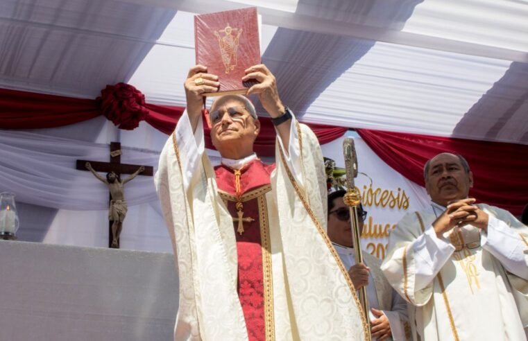 Audiência do papa com cardeal brasileiro discutiu papel da Igreja na COP30