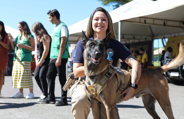 Caravana leva serviços e conscientização sobre bem-estar animal ao Cruzeiro