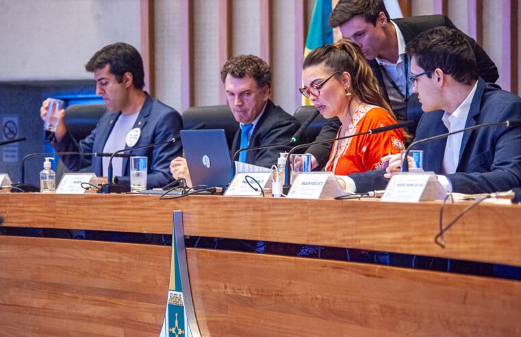 Com novo relator, CPI aprova 38 requerimentos para apurar impactos ambientais