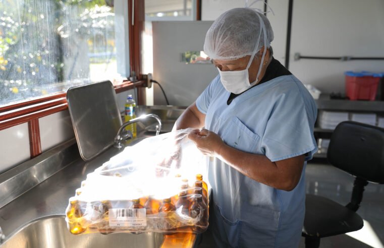 Cura que brota do chão: Farmácia Viva do DF produz medicamento natural para dor de garganta