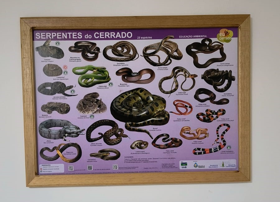 Lançamento de material educativo marca abertura da Semana do Meio Ambiente