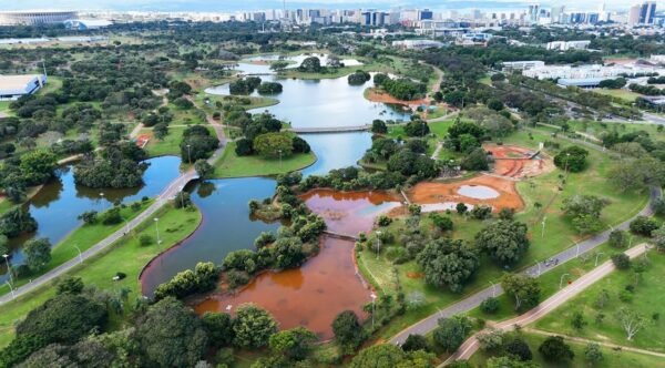 Motociclista vai a óbito após queda no Parque da Cidade Motociclista vai a óbito após queda no Parque da Cidade