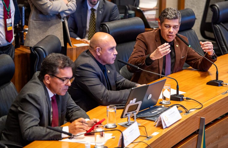 Produção artesanal de produtos de origem animal, vegetal e fúngica terá novo regulamento