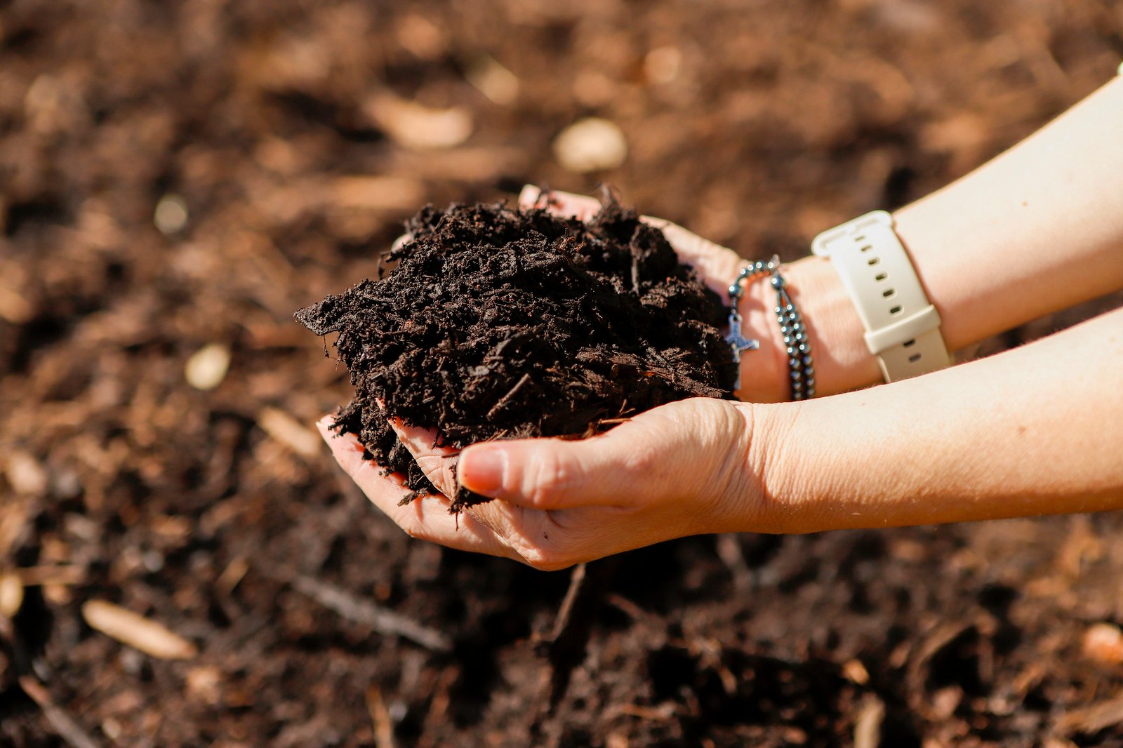 Rede de Hortos Agroflorestais Medicinais Biodinâmicos é regulamentada no DF