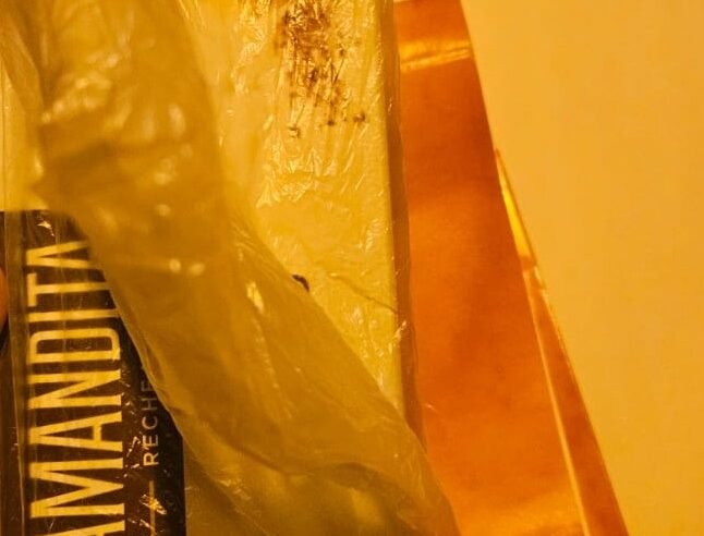 Suspeita de bomba mobiliza BOPE no Lago Sul, mas objeto era caixa de bombons