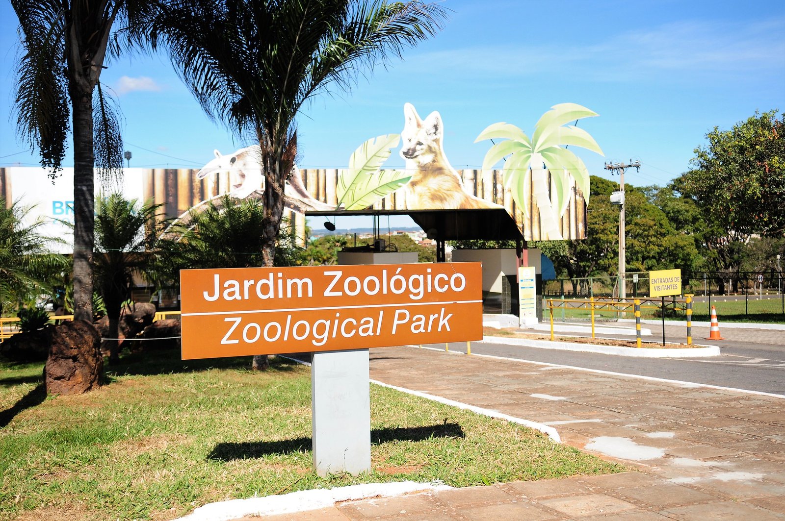 Zoológico de Brasília é interditado após suspeita de gripe aviária Zoológico de Brasília é interditado após suspeita de gripe aviária