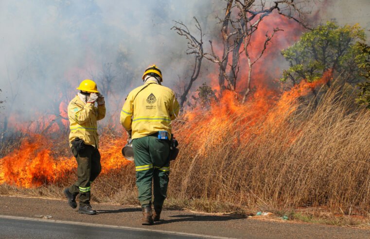 Edital lançado pela UnDF incentiva soluções tecnológicas para prevenção de incêndios