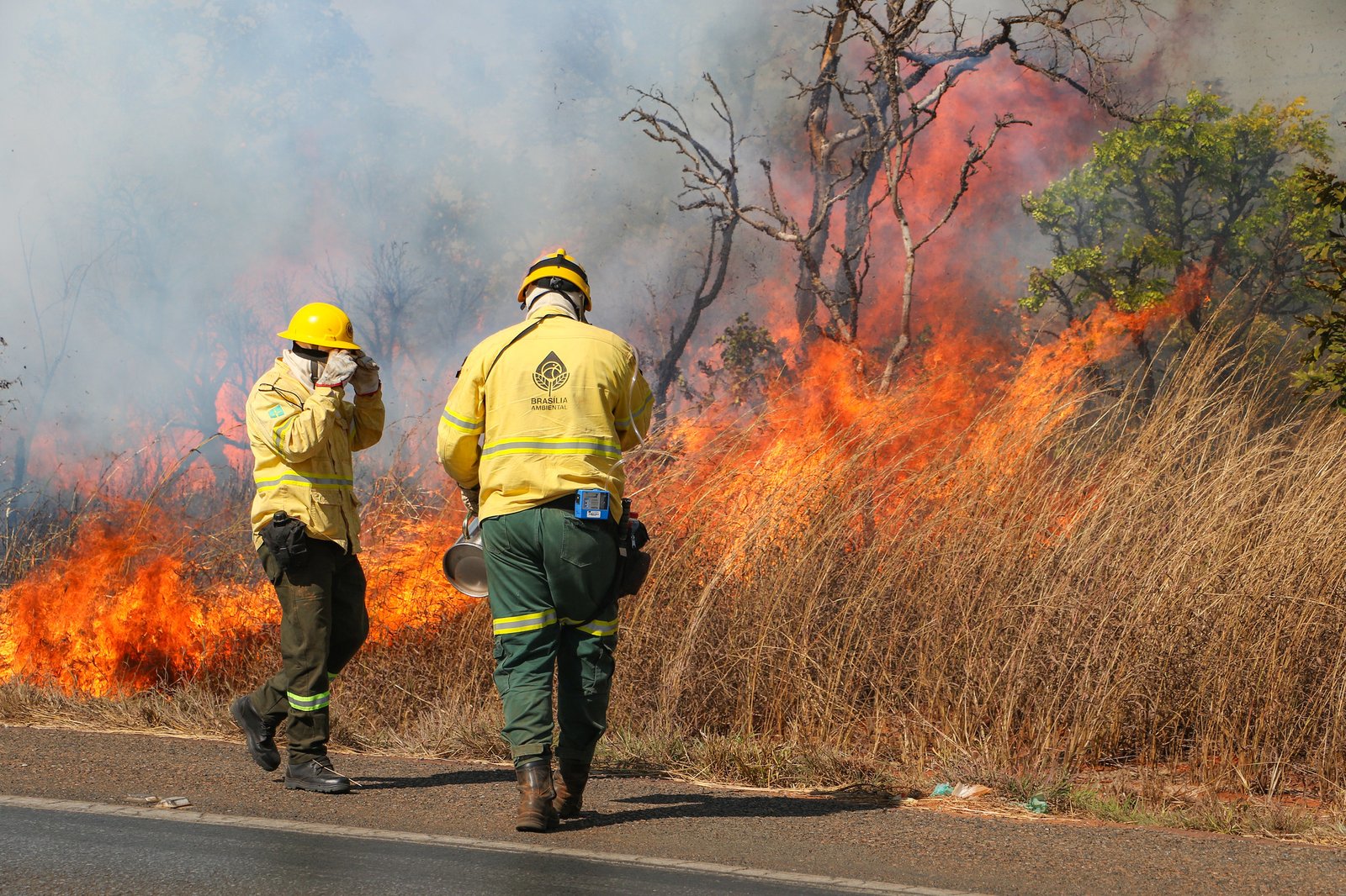 Edital lançado pela UnDF incentiva soluções tecnológicas para prevenção de incêndios