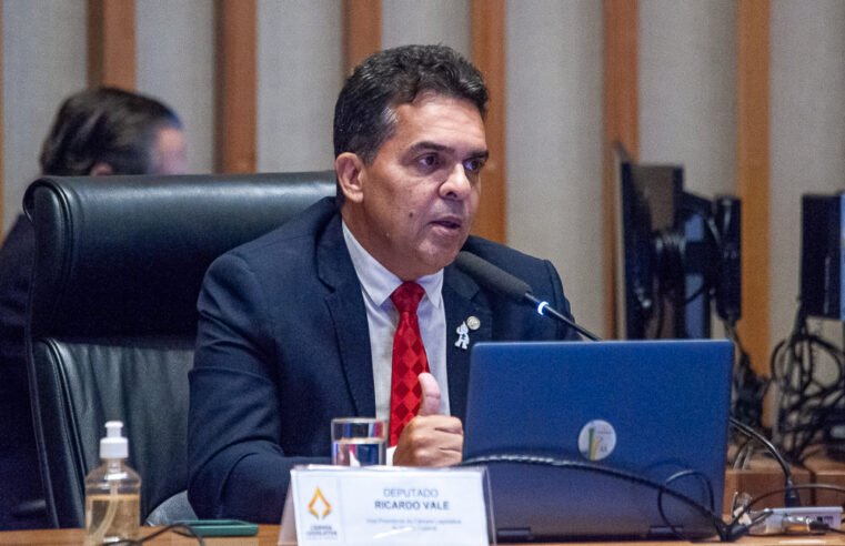 Escolas públicas do DF deverão oferecer refeição vegana todos os dias