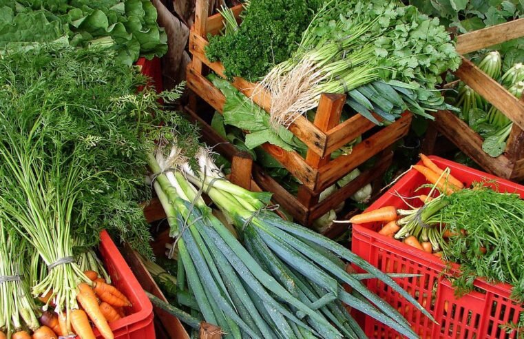 Hortaliças sustentam milhares de famílias e movimentam bilhões no DF