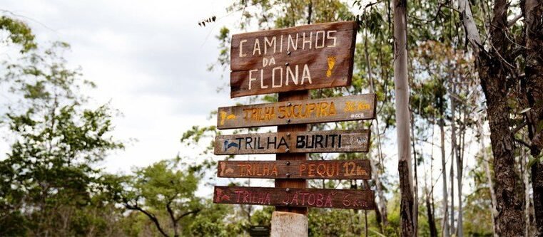 Movimento contra concessão da Floresta Nacional e Parque Nacional de Brasília alerta para riscos de exclusão