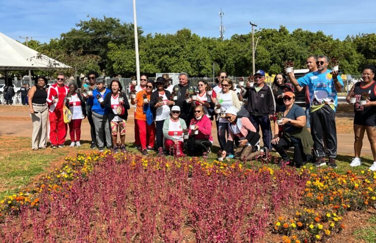 Parque Urbano do Setor O recebe horta comunitária em cerimônia simbólica