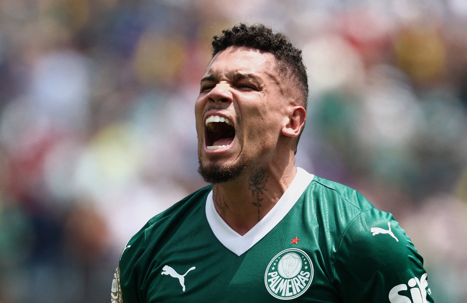 Paulinho supera dor para derrubar Botafogo e pôr Palmeiras nas quartas Paulinho supera dor para derrubar Botafogo e pôr Palmeiras nas quartas