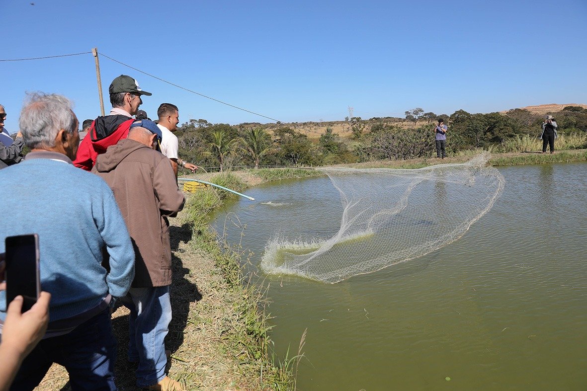Produção de pescado bate recordes no Distrito Federal Produção de pescado bate recordes no Distrito Federal