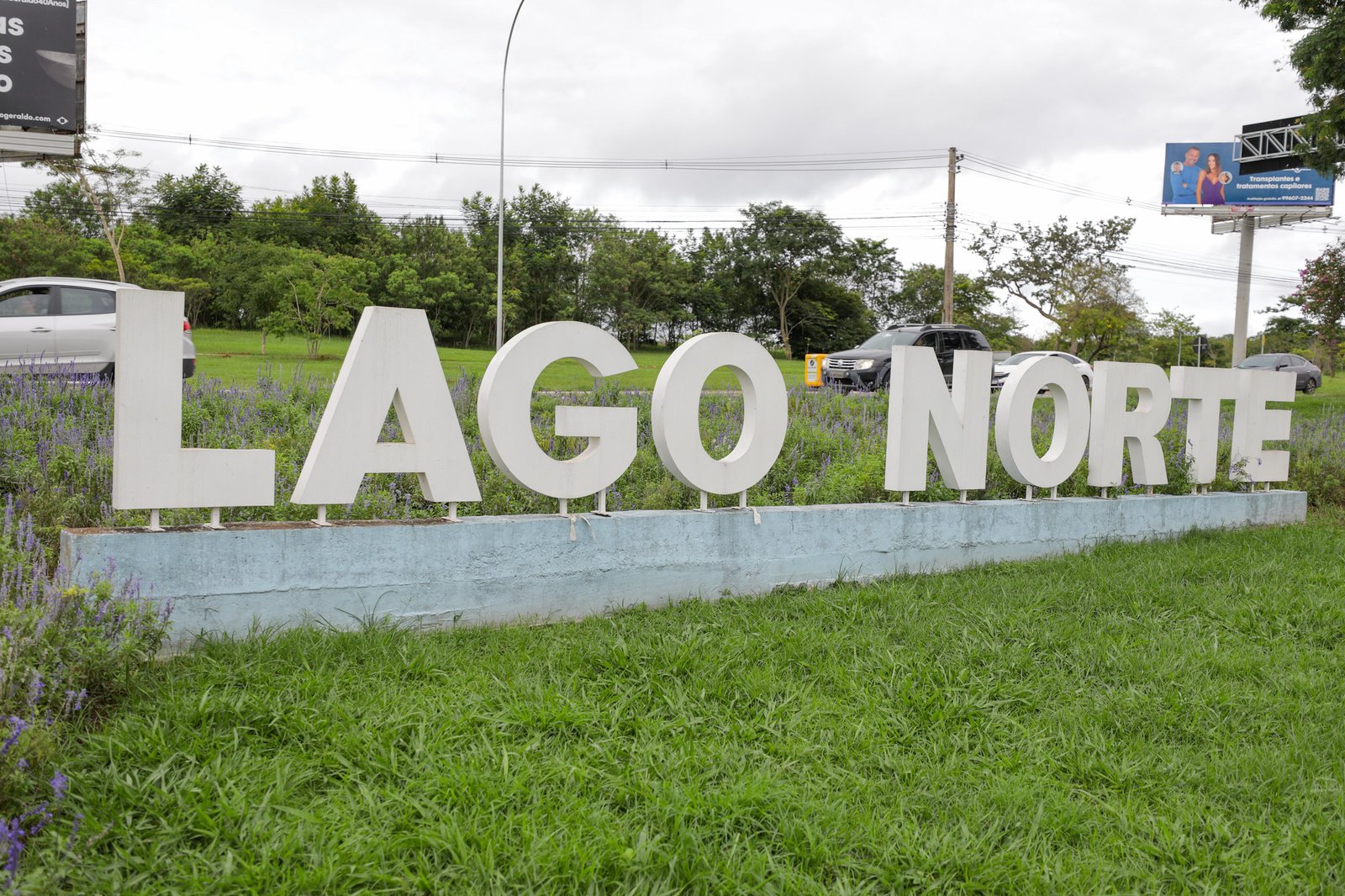 Reunião, nesta quarta (11), orienta comunidade do Lago Norte sobre aparição de onças Reunião, nesta quarta (11), orienta comunidade do Lago Norte sobre aparição de onças
