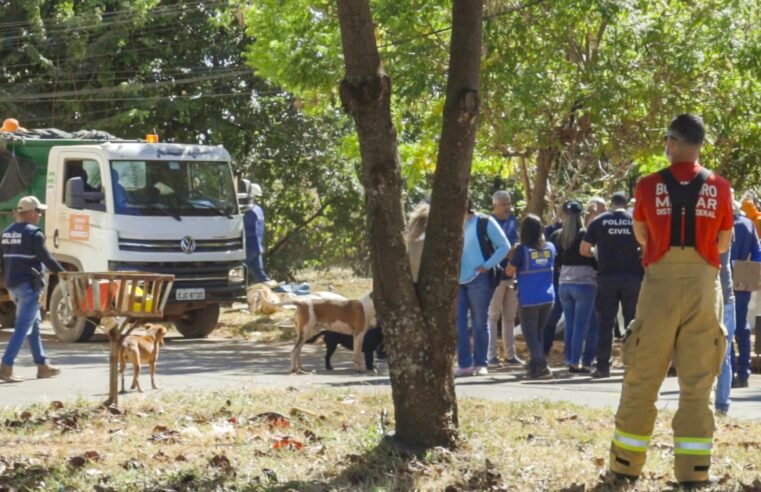 Ação de acolhimento atende 44 pessoas em situação de rua no DF nesta semana
