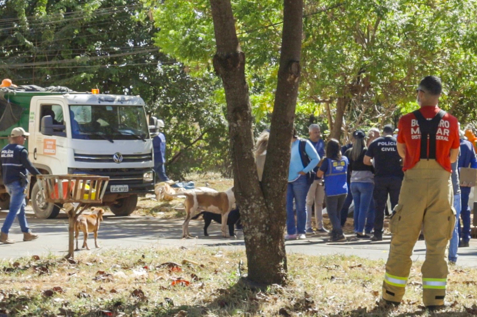 Ação de acolhimento atende 44 pessoas em situação de rua no DF nesta semana Ação de acolhimento atende 44 pessoas em situação de rua no DF nesta semana