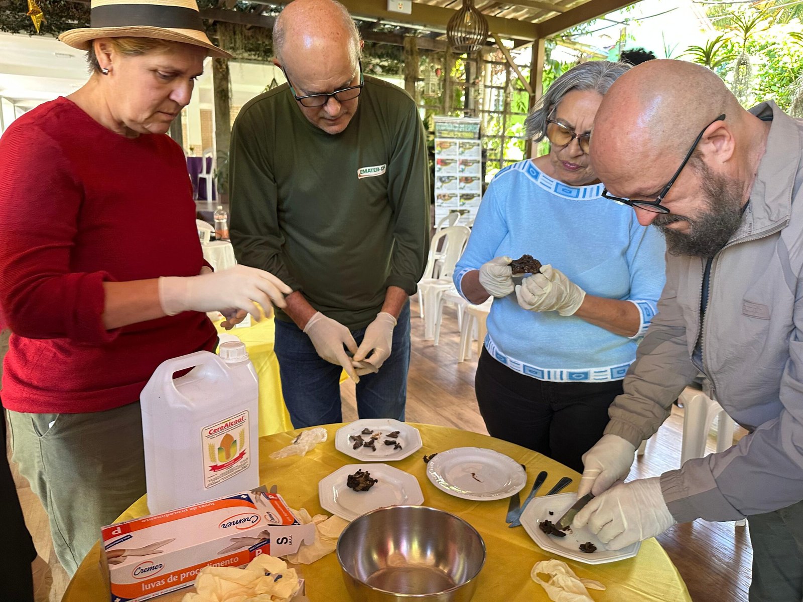 Criadores de abelhas sem ferrão participam de curso da Emater-DF sobre produção de própolis Criadores de abelhas sem ferrão participam de curso da Emater-DF sobre produção de própolis