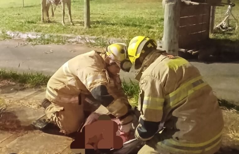 Homem fica ferido após carroça tombar em Planaltina