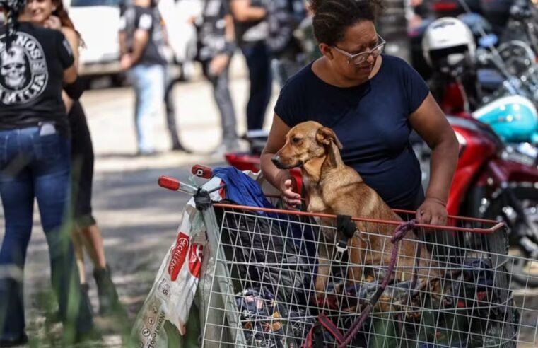 ONG cuida de pets de rua e seus donos em ação de inverno no DF
