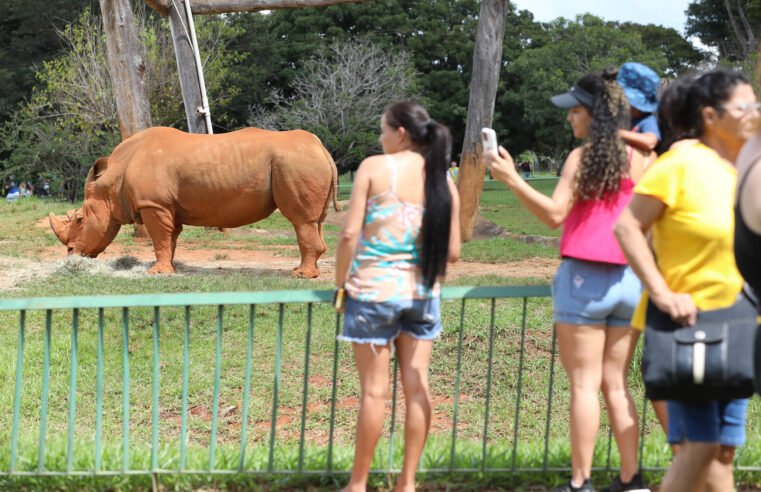 Zoo faz força-tarefa de manutenção e adota novos protocolos para reabertura