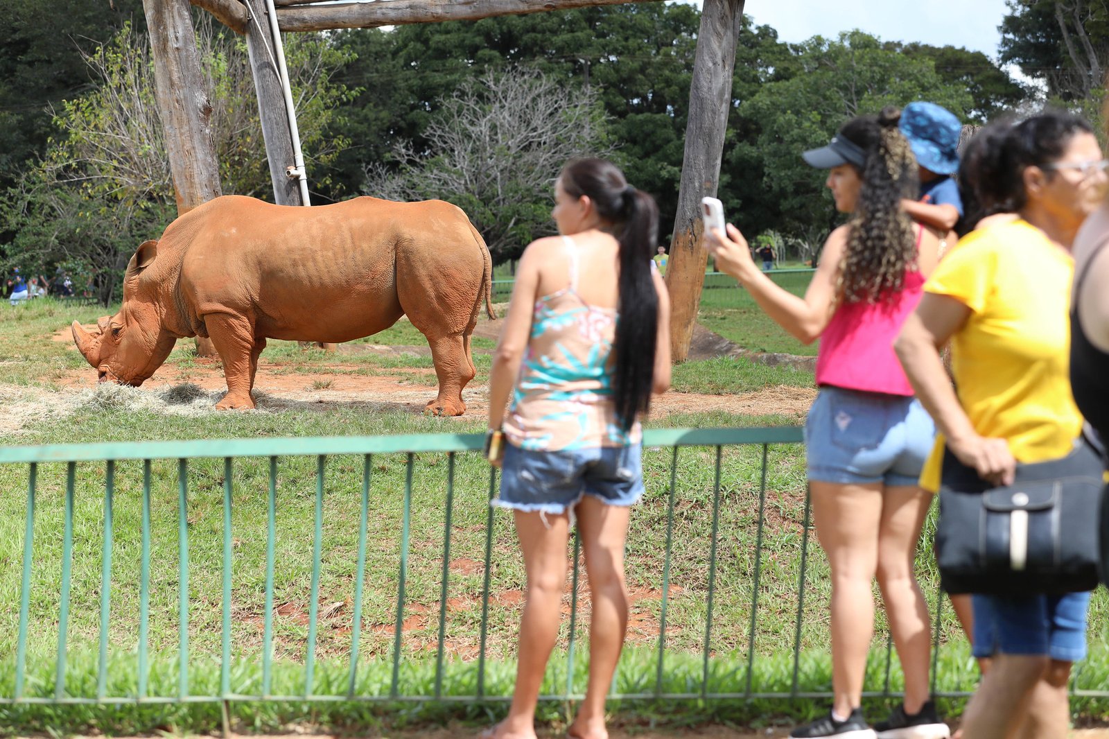 Zoo faz força-tarefa de manutenção e adota novos protocolos para reabertura