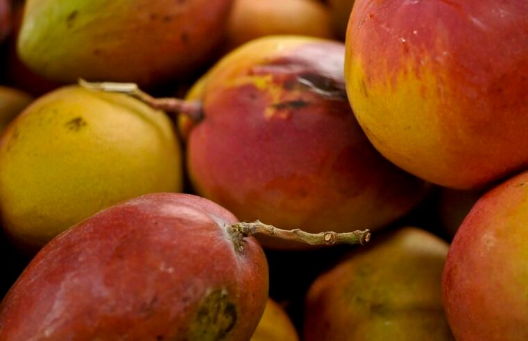 Abrafrutas apoia plano e pede atenção a pequenos produtores