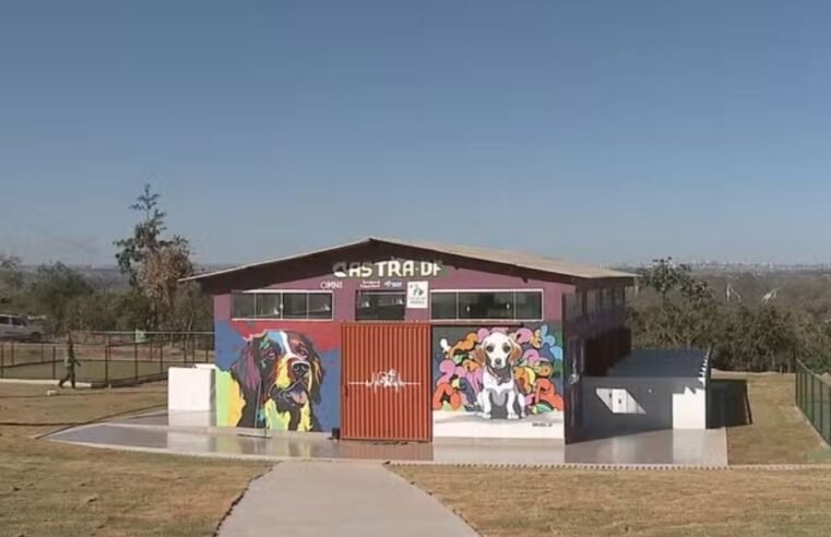 Abrigo público para cães do DF é denunciado por suspeita de maus-tratos