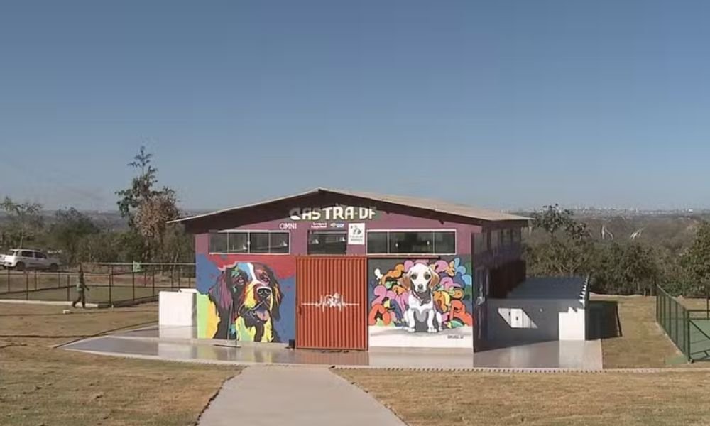 Abrigo público para cães do DF é denunciado por suspeita de maus-tratos