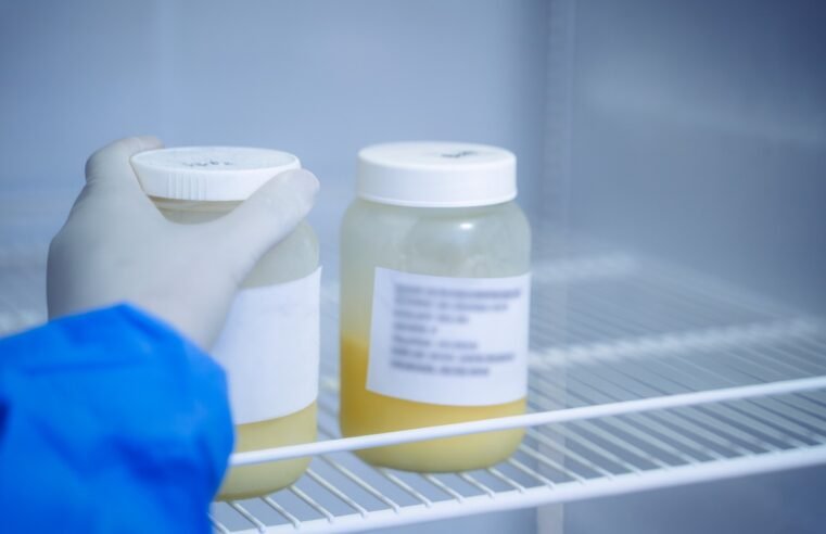 Aleitamento materno: doar também é um ato de amor