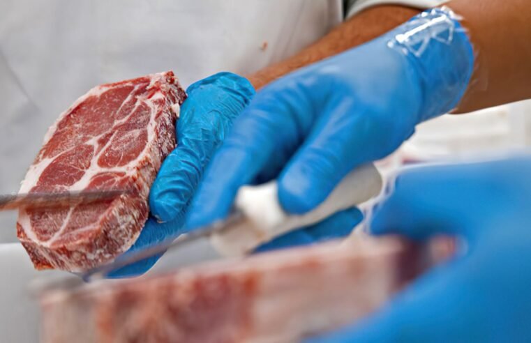 Brasil vai exportar carne bovina para Indonésia