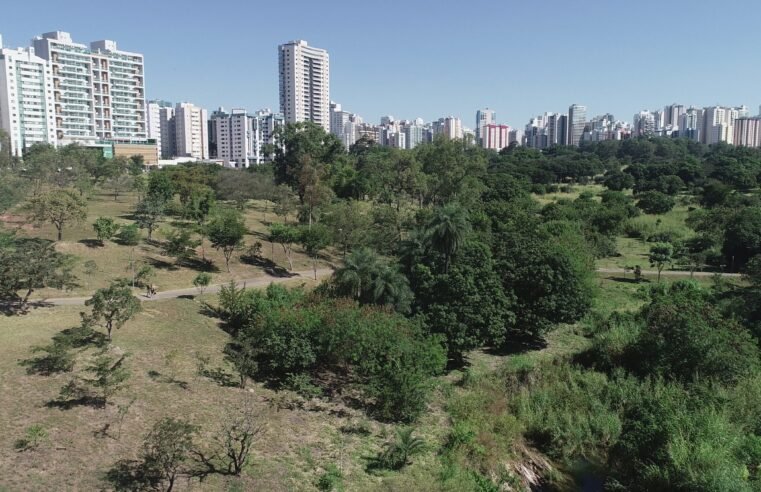 Brasília Ambiental promove discute parceria com organizações da sociedade civil