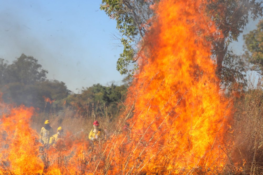 CBMDF registra 29 ocorrências de incêndio em vegetação CBMDF registra 29 ocorrências de incêndio em vegetação