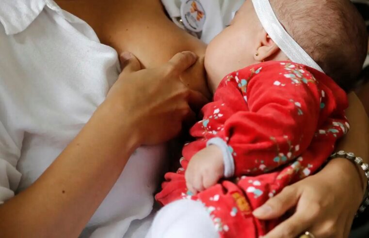Campanha Mundial de Amamentação promove a preservação da vida