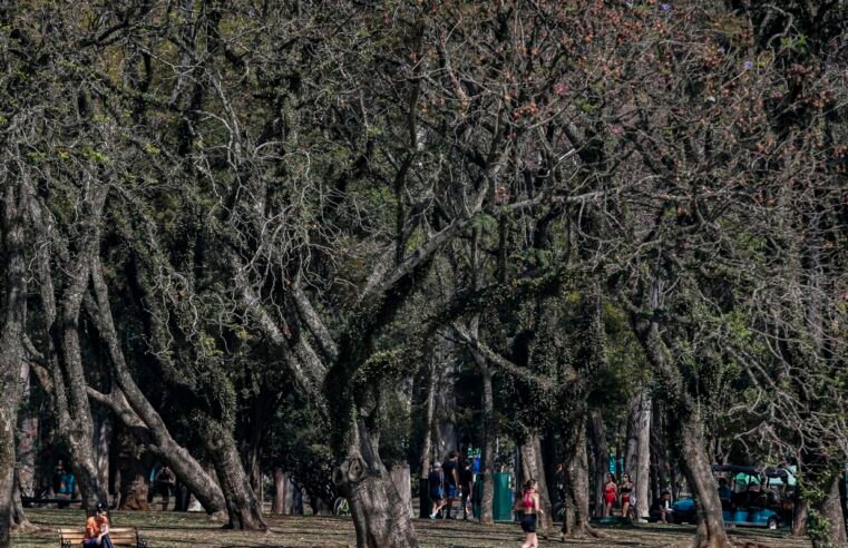 Cidade de São Paulo tem agosto mais seco desde 2020