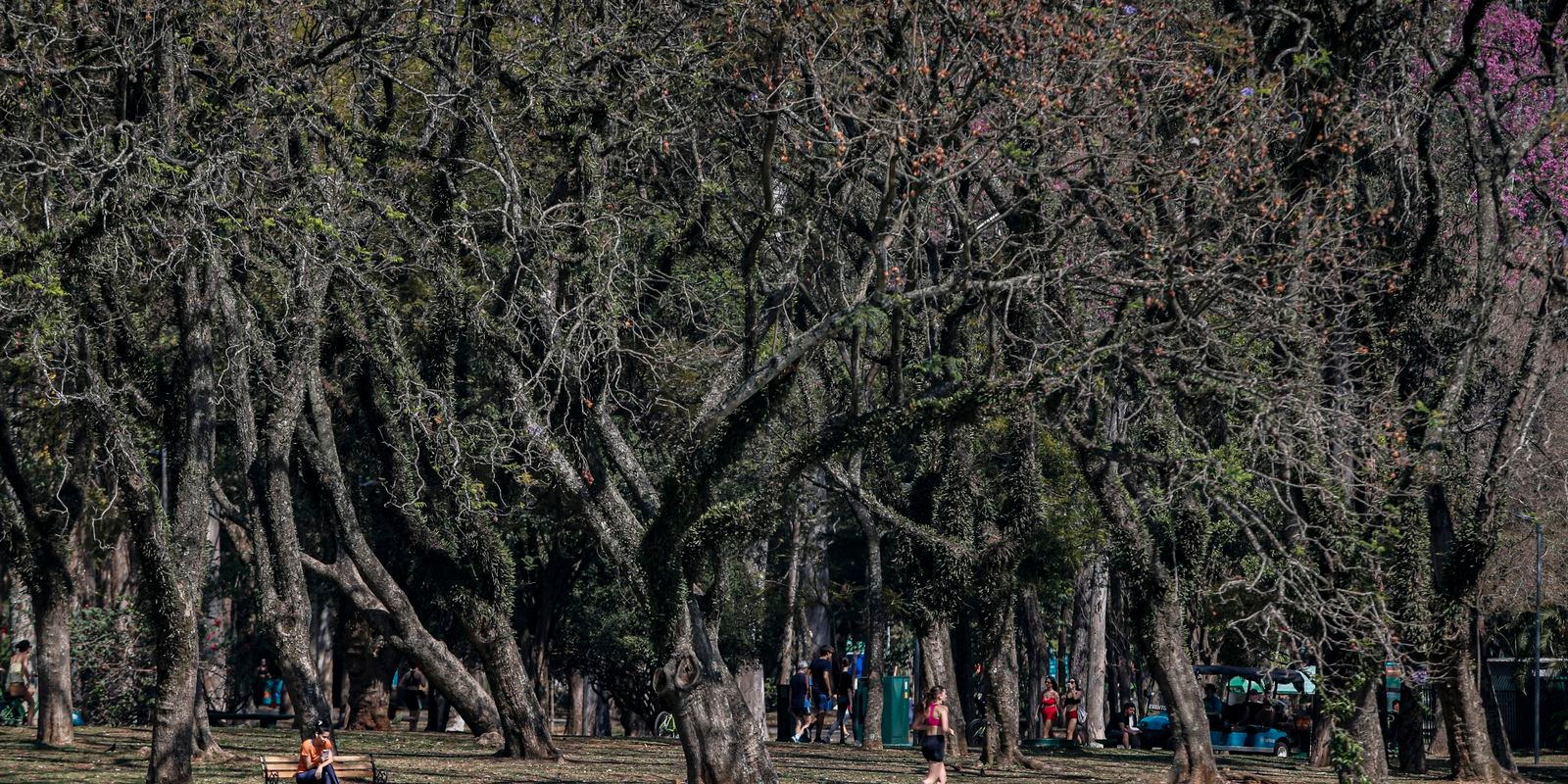 Cidade de São Paulo tem agosto mais seco desde 2020 Cidade de São Paulo tem agosto mais seco desde 2020