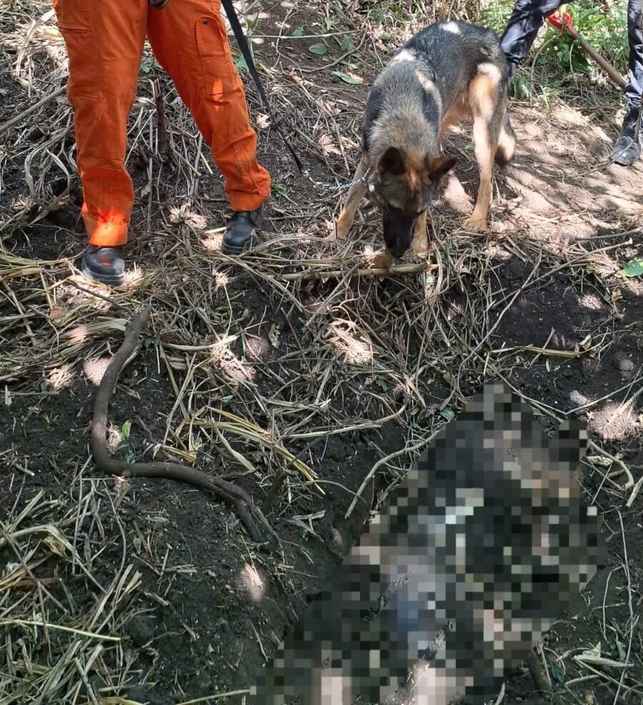 Corpo de mulher é encontrado em área de mata no Areal