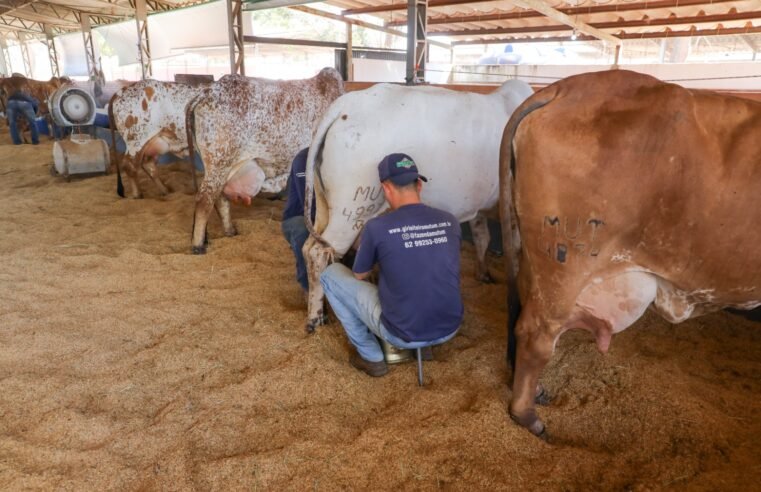 Expoabra 2025 promete movimentar agronegócio e cultura em Brasília; veja programação