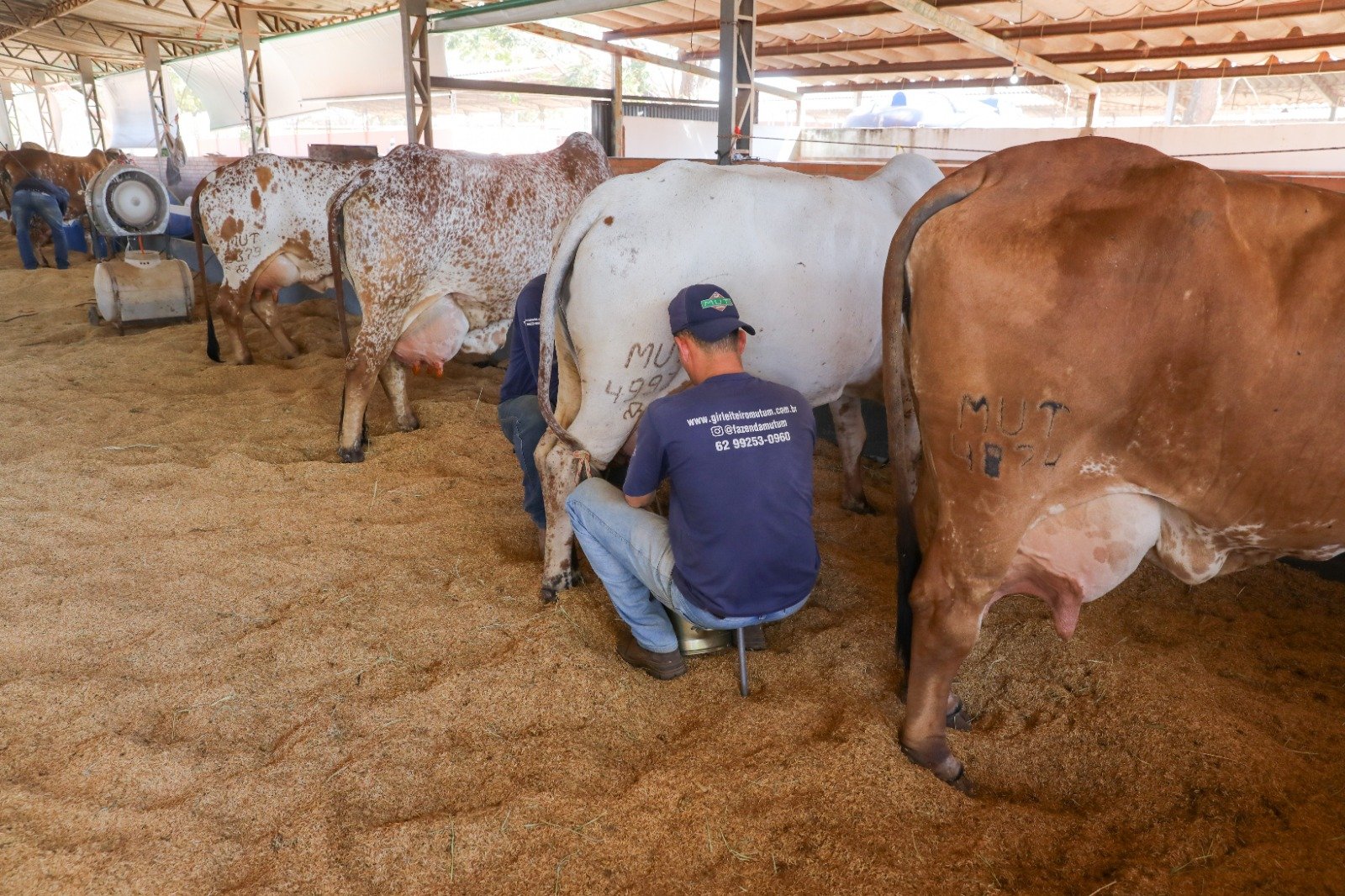 Expoabra 2025 promete movimentar agronegócio e cultura em Brasília; veja programação