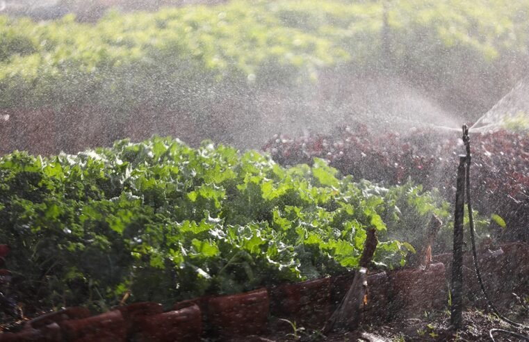 GDF regulariza 780 imóveis rurais e leva segurança jurídica a famílias no campo