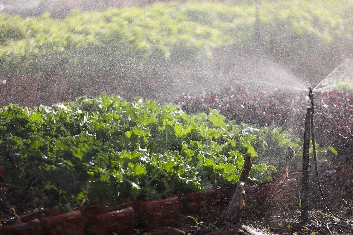 GDF regulariza 780 imóveis rurais e leva segurança jurídica a famílias no campo GDF regulariza 780 imóveis rurais e leva segurança jurídica a famílias no campo