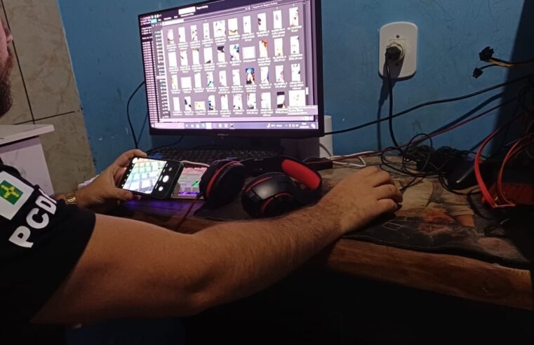 Homem é preso por armazenar, compartilhar e produzir pornografia infantil no DF