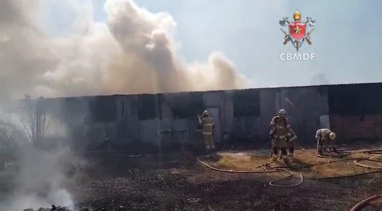 Incêndio em chácara no Gama mobiliza seis viaturas do Corpo de Bombeiros