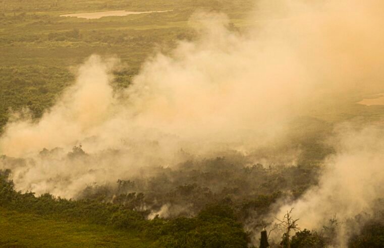 Moradores do oeste paulista recebem alerta de tempo seco por celular