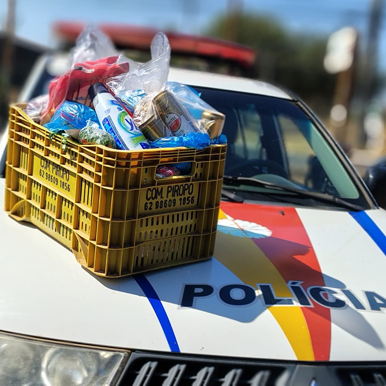 Mulher é detida após furtos em série no Gama e Novo Gama Mulher é detida após furtos em série no Gama e Novo Gama
